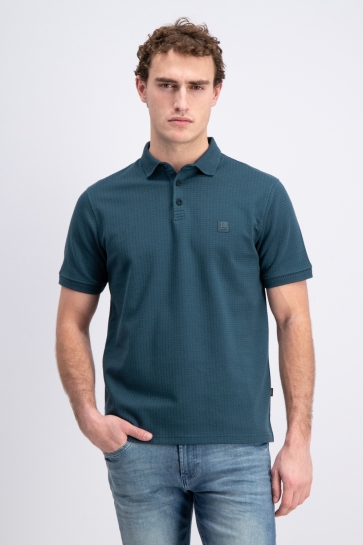 Gabbiano 2365212 oblak Groen