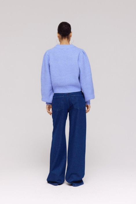 Harper & Yve blauwe dames trui | Model