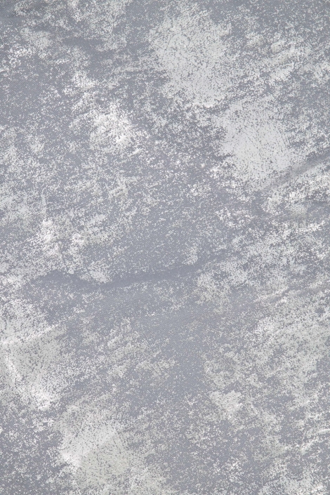 Zusss zilveren dames t-shirt | Kleurstaal