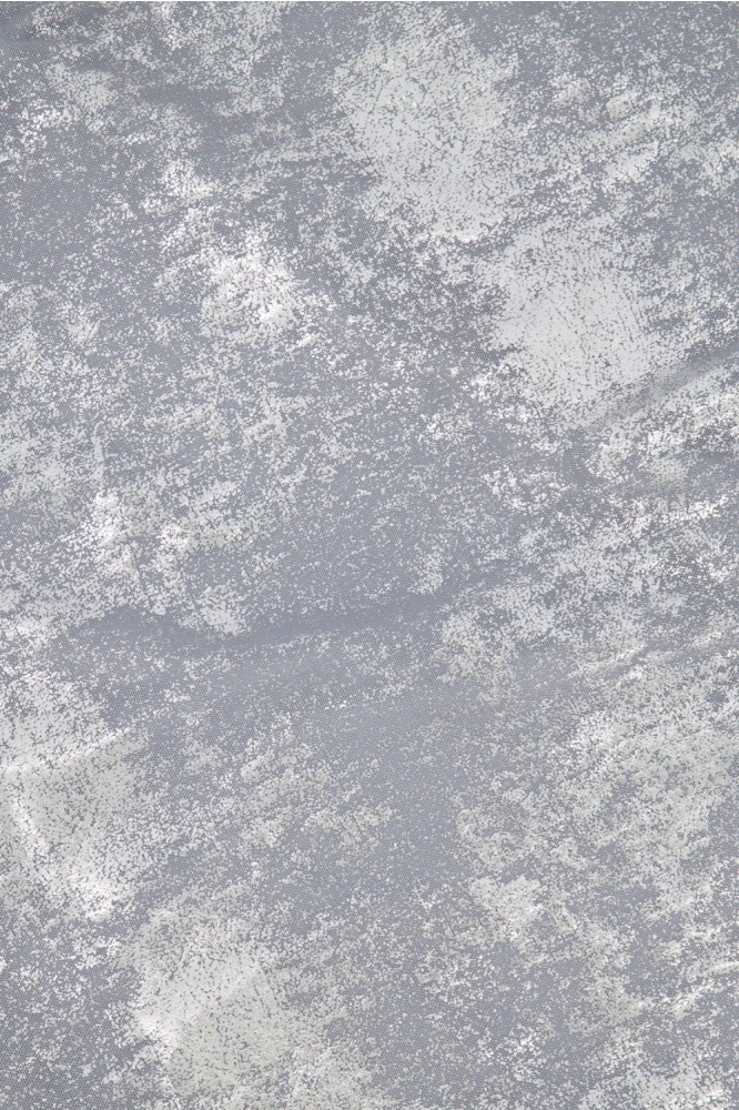 Zusss zilveren dames t-shirt | Kleurstaal