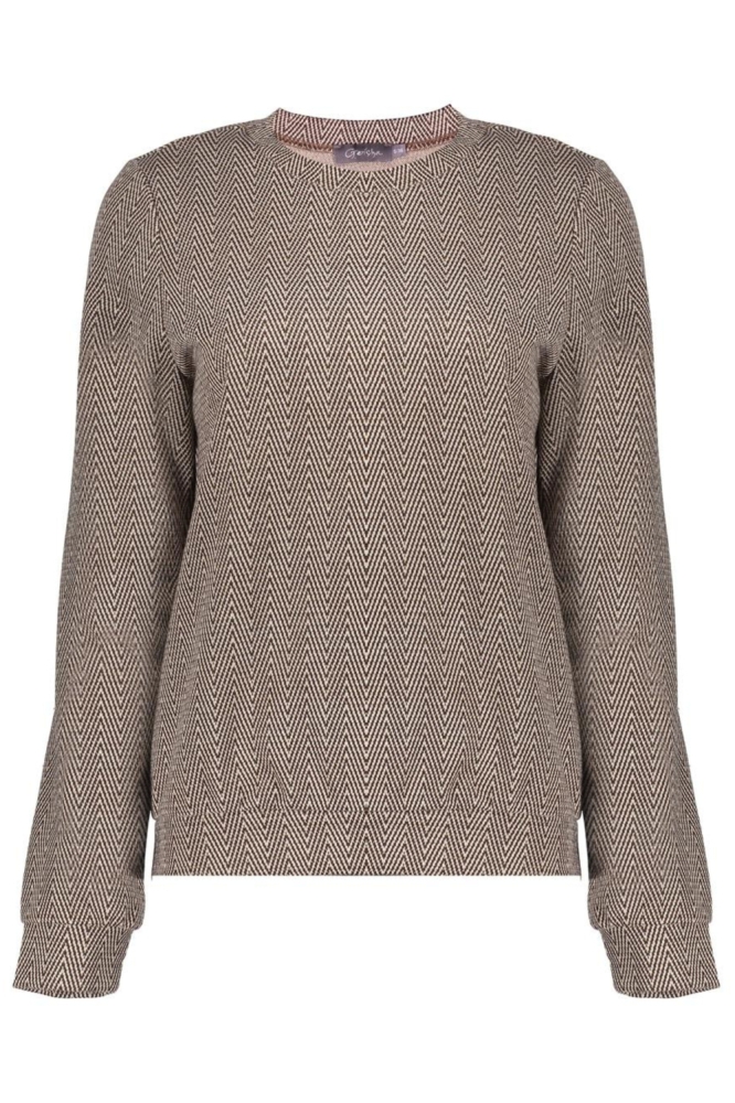 Geisha bruine dames trui | Vooraanzicht