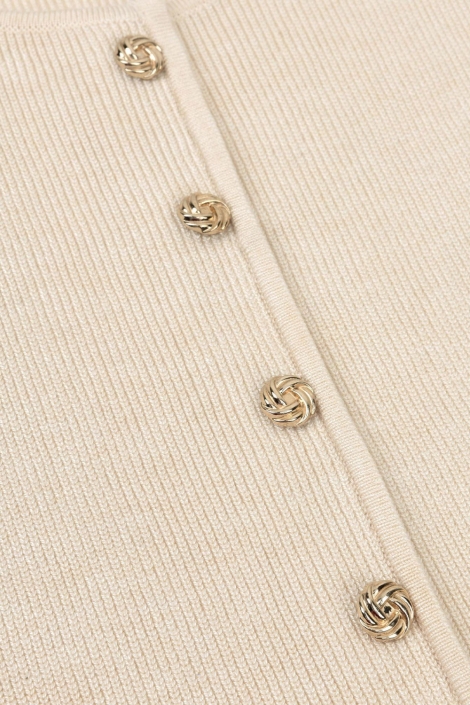 Ydence beige dames top | Close up