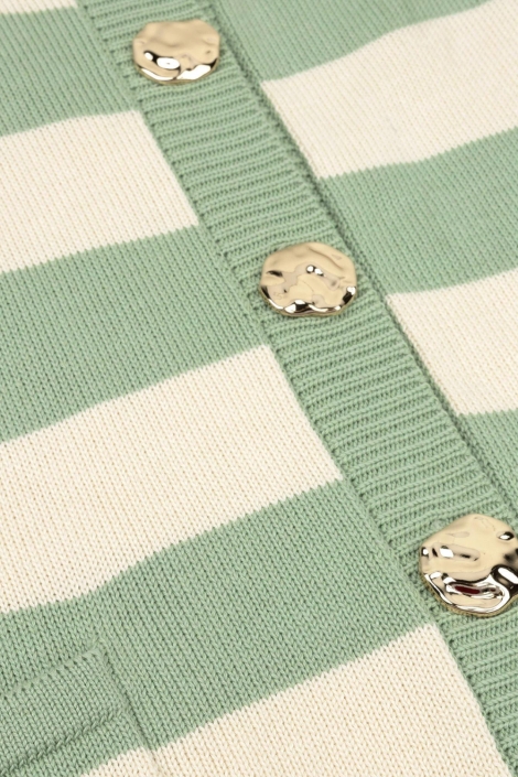 Ydence groene dames gilet | Close up