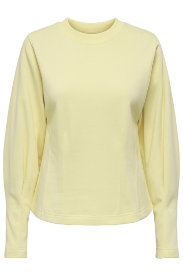 Jacqueline de Yong jdycreame l/s waisted top jrs Geel