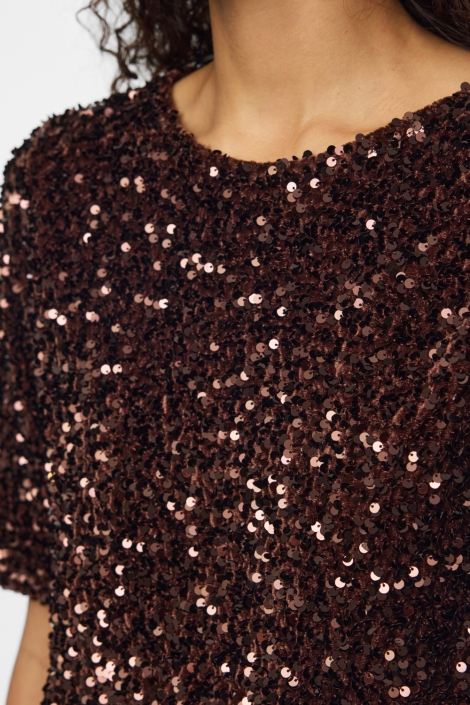 Pieces bruine dames t-shirt | Kleurstaal