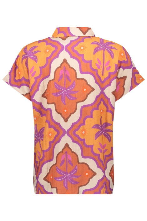 Geisha multi color dames blouse | Achteraanzicht