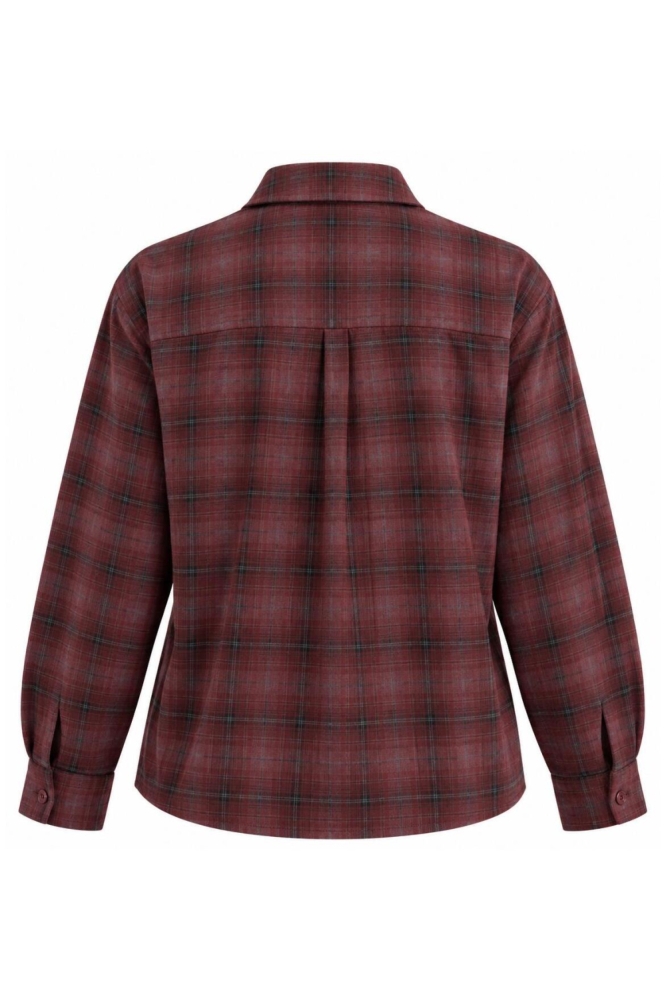 SisterS point bruine dames blouse | Achteraanzicht