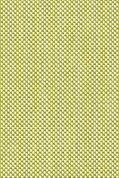 Desoto groene heren overhemd | Kleurstaal