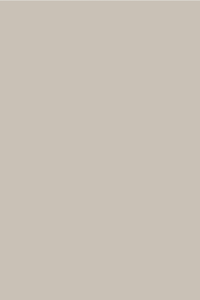 Desoto taupe heren t-shirt | Kleurstaal