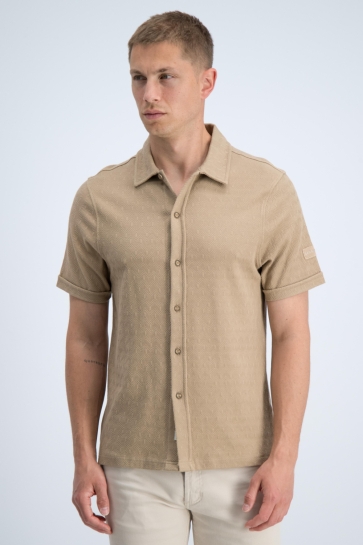 Gabbiano 3366333 dion Camel