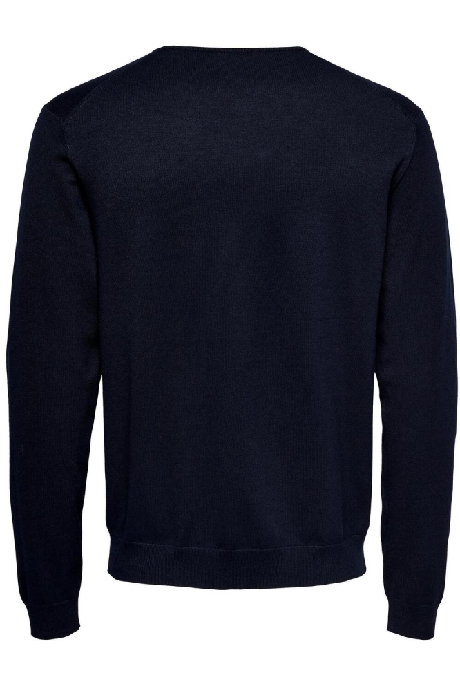 Only & Sons blauwe heren trui | Achteraanzicht