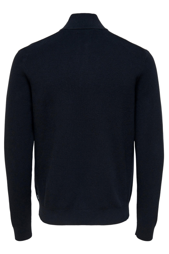 Only & Sons blauwe heren trui | Achteraanzicht