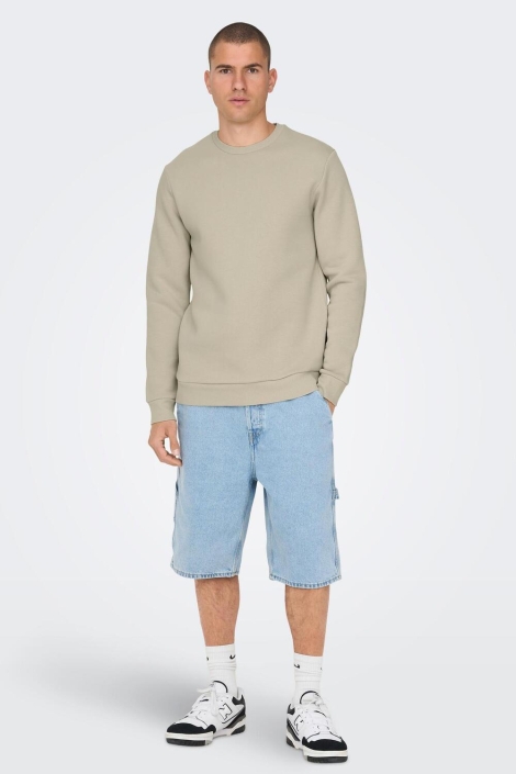 Only & Sons beige heren sweater | Model
