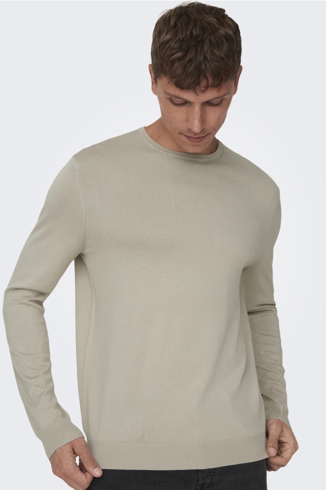 Only & Sons beige heren trui | Model vooraanzicht