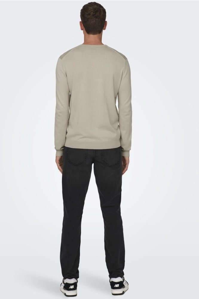 Only & Sons beige heren trui | Model achteraanzicht
