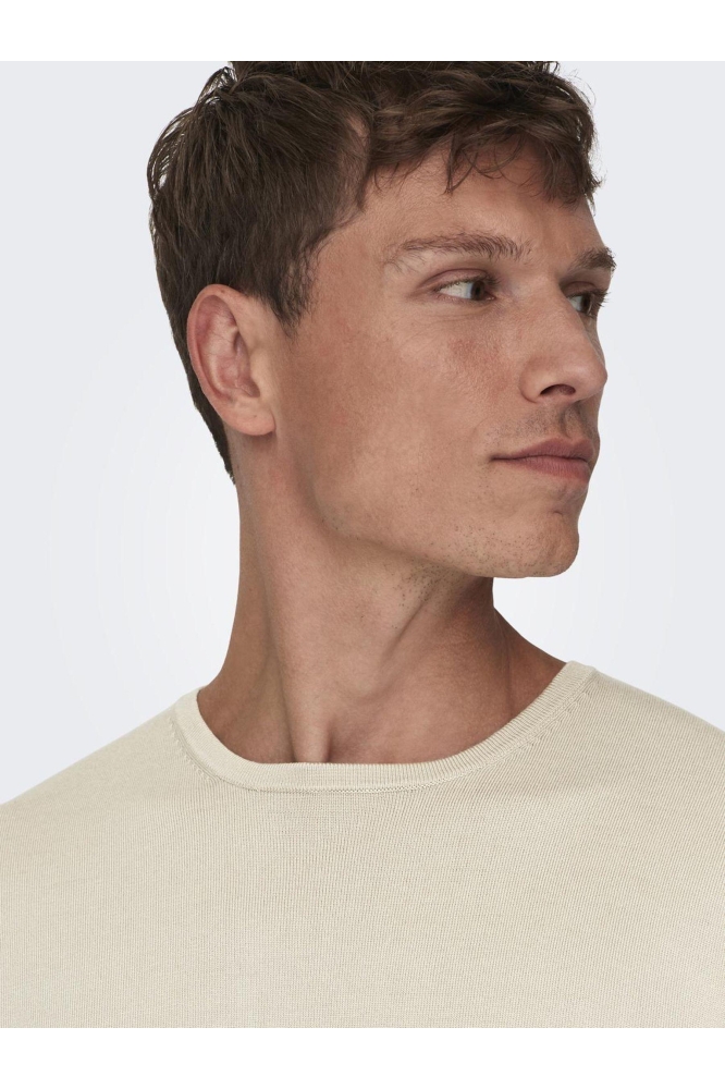 Only & Sons beige heren trui | Close up