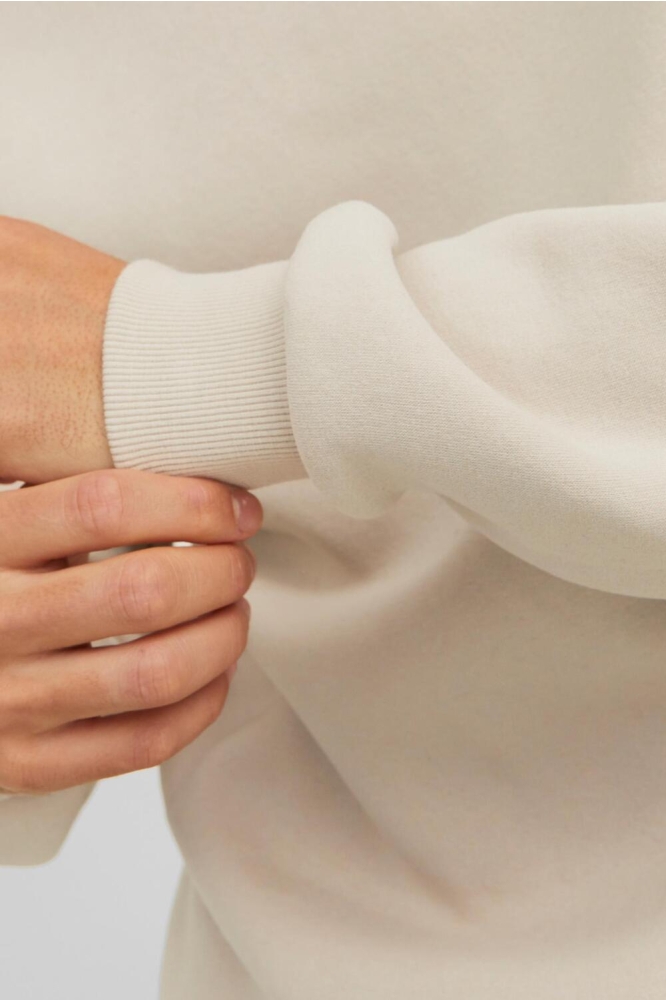 Jack & Jones ecru heren sweater | Close up