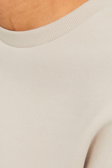 Jack & Jones ecru heren sweater | Close up