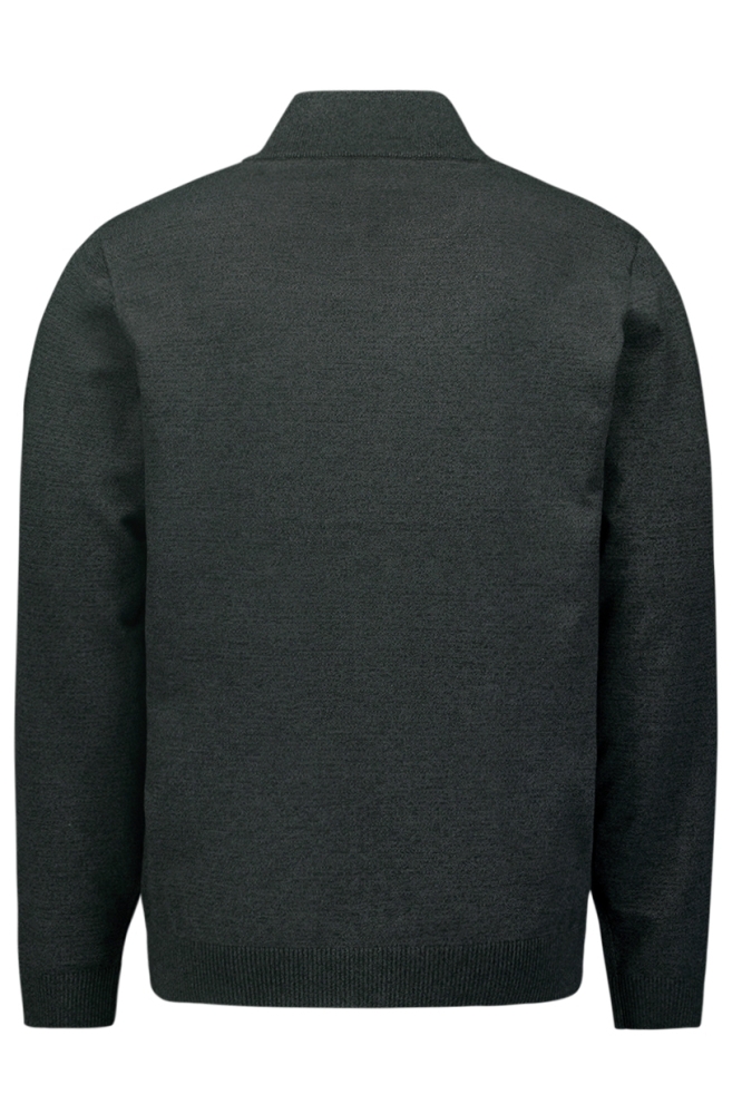 NO-EXCESS grijze heren vest | Achteraanzicht