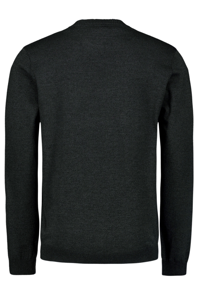 NO-EXCESS grijze heren trui | Achteraanzicht