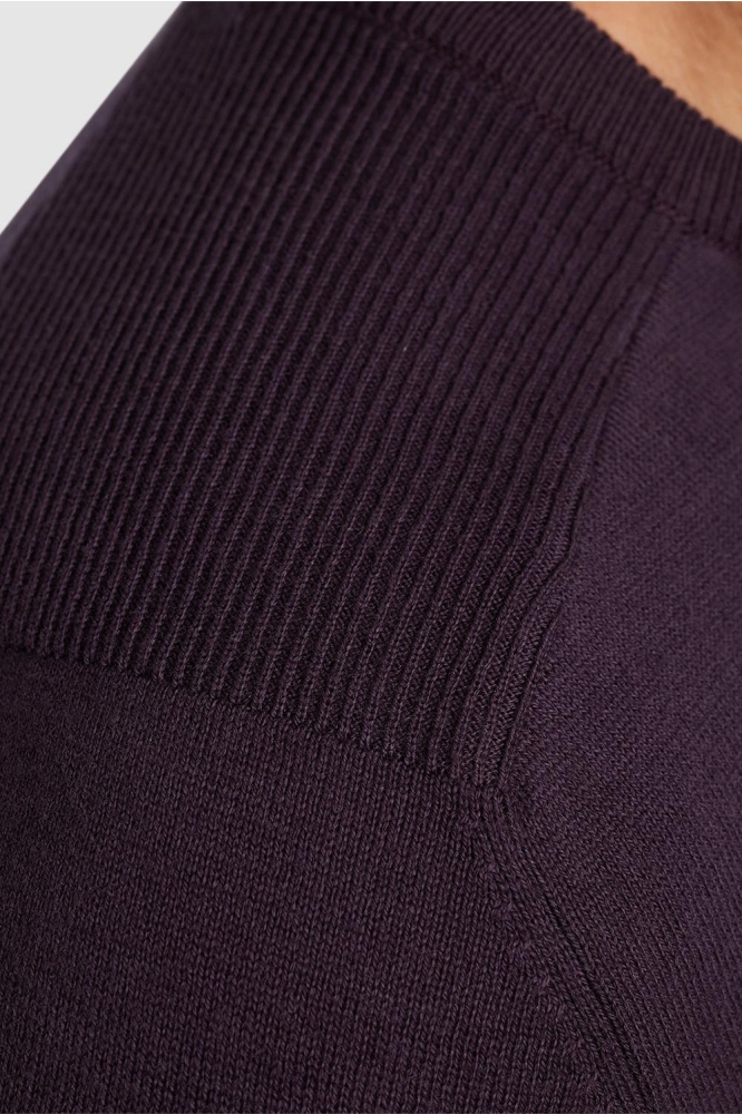 PME legend paarse heren trui | Close up