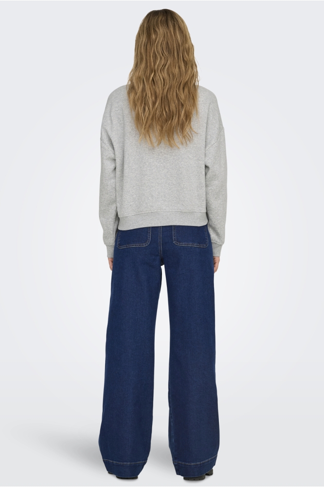 Only grijze dames sweater | Model