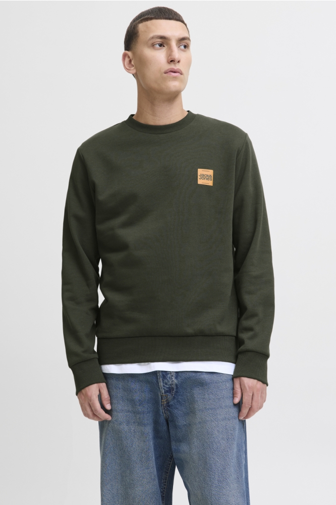 Jack & Jones groene heren sweater | Model