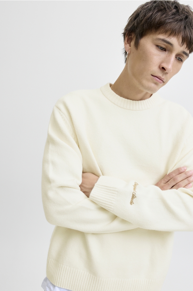 Jack & Jones beige heren trui | Model vooraanzicht