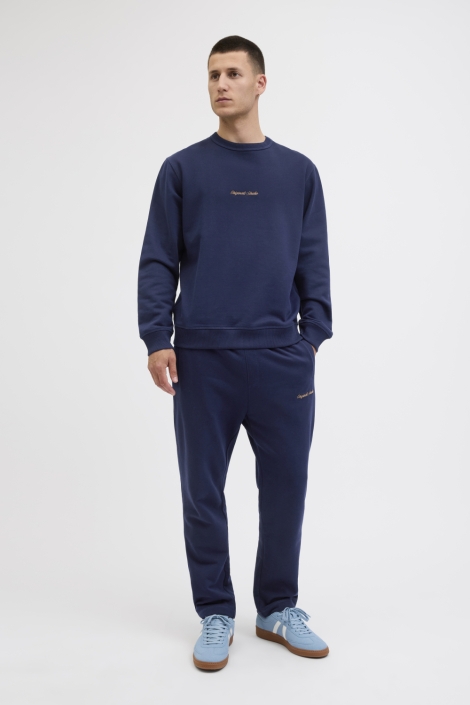 Jack & Jones blauwe heren sweater | Model