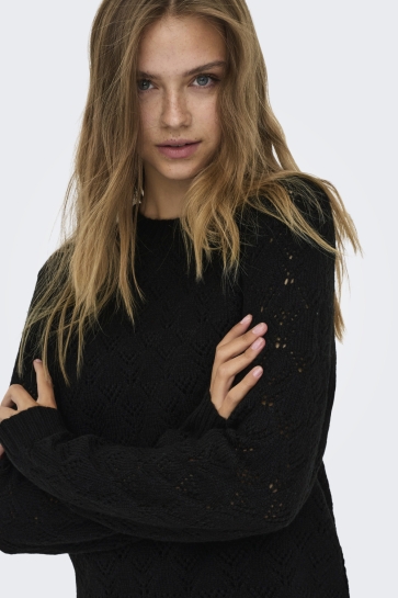 Jacqueline de Yong Trui JDYAMANDA LIFE L/S O-NECK PULLOVER 15355617 BLACK