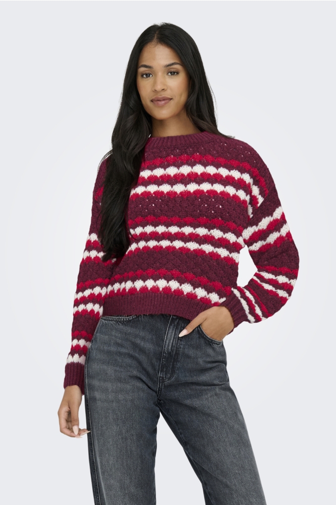 Jacqueline de Yong bordeaux dames trui | Model vooraanzicht