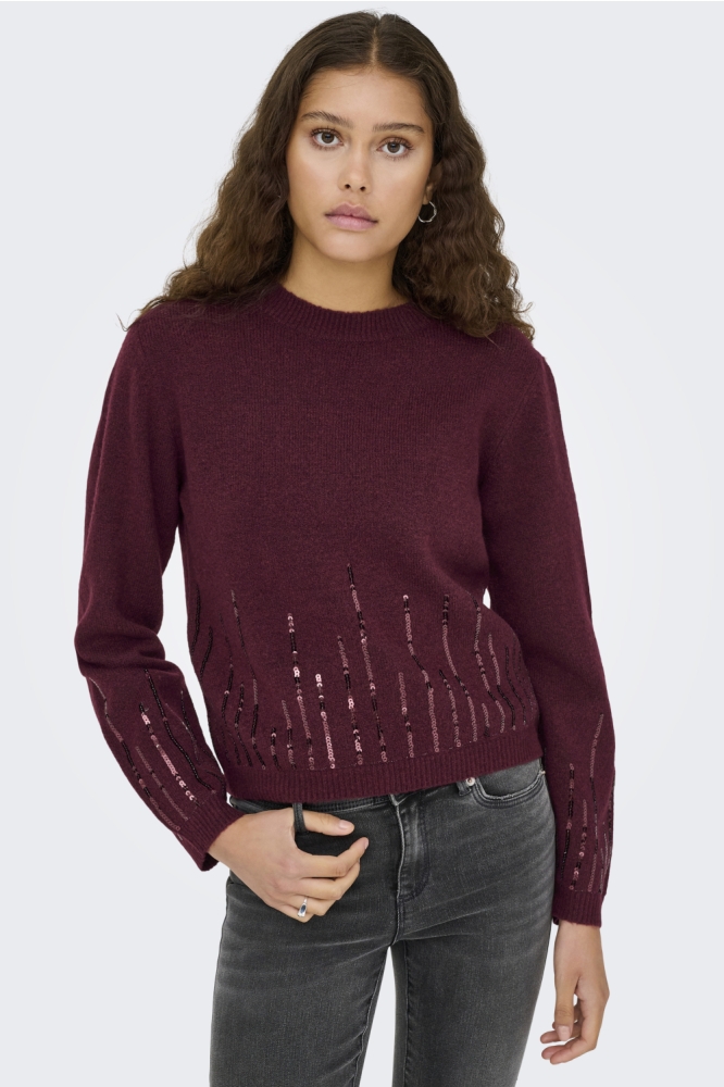 Jacqueline de Yong bordeaux dames trui | Model vooraanzicht