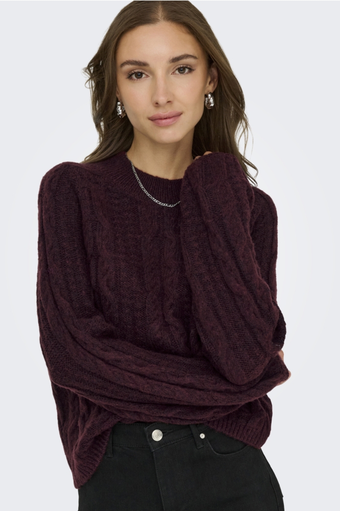 Jacqueline de Yong bordeaux dames trui | Model vooraanzicht