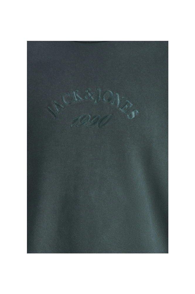 Jack & Jones groene heren sweater | Kleurstaal