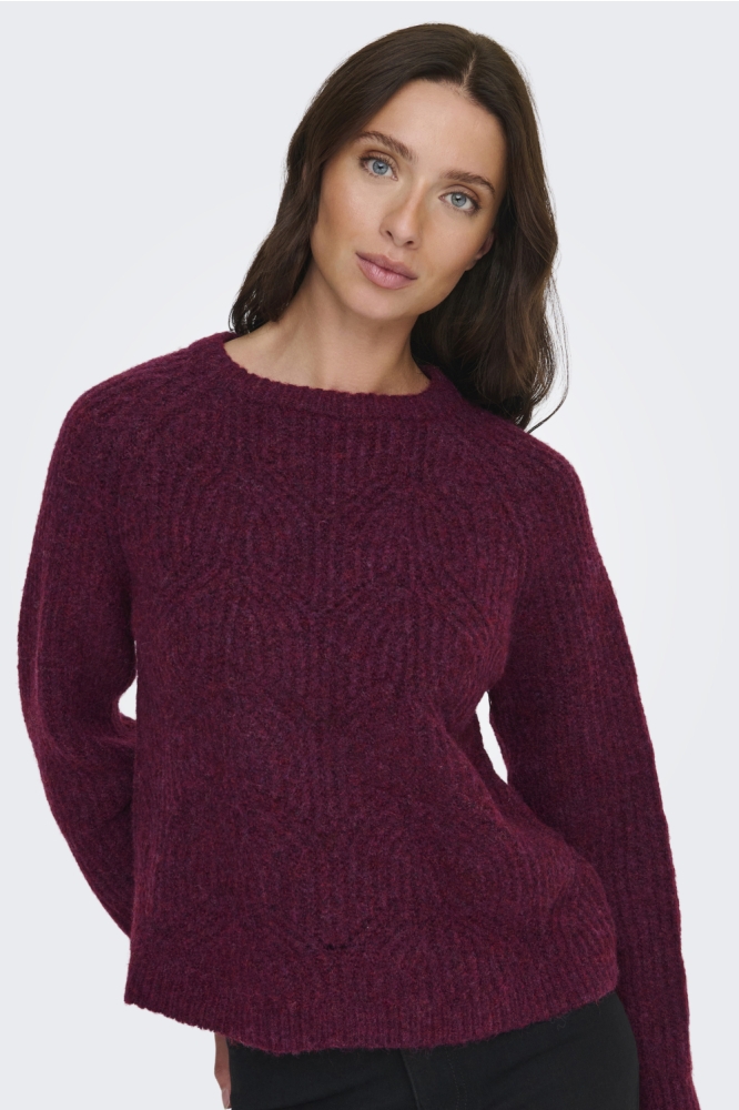 Only bordeaux dames trui | Close up