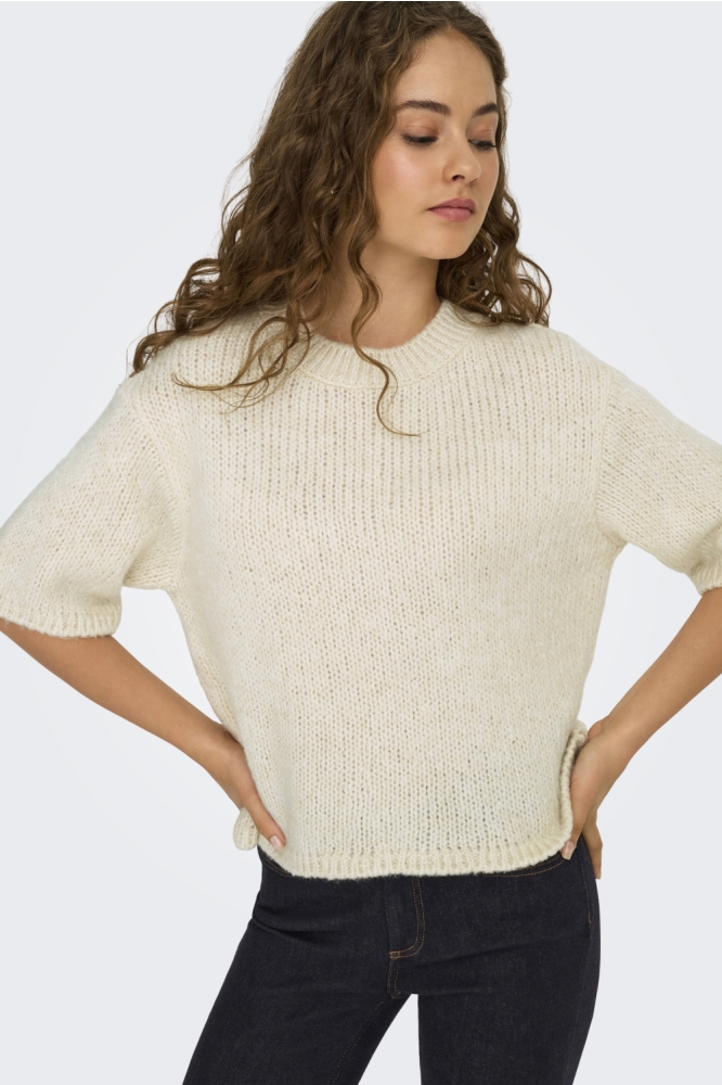 Jacqueline de Yong beige dames trui | Model