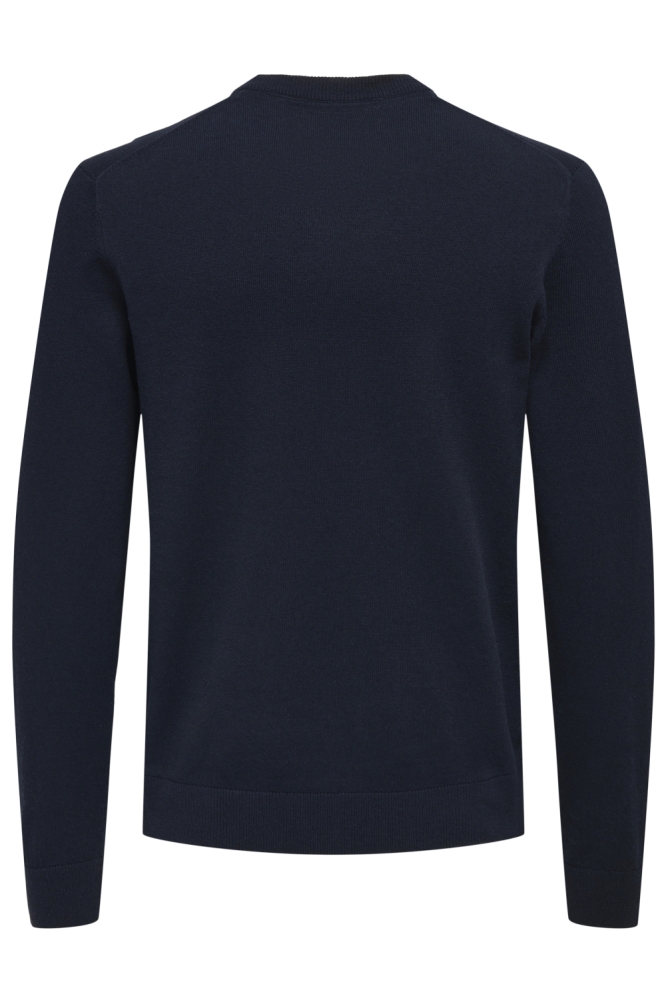 Only & Sons blauwe heren trui | Achteraanzicht