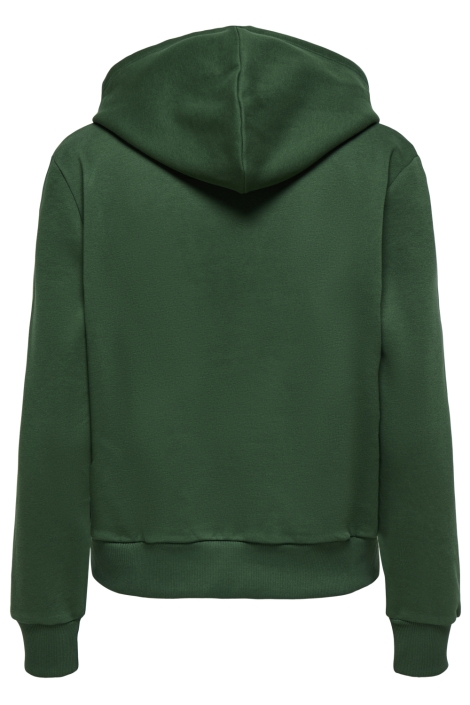 Only groene dames sweater | Achteraanzicht