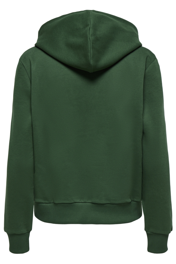 Only groene dames sweater | Achteraanzicht
