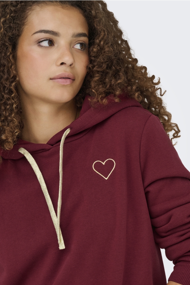 Only bordeaux dames sweater | Close up