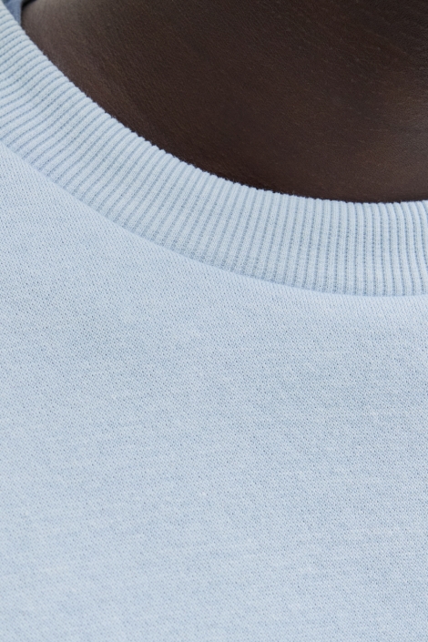 Jack & Jones blauwe heren sweater | Kleurstaal