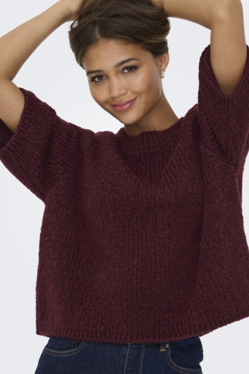 Jacqueline de Yong Trui JDYLINEA S/S PULLOVER O-NECK KNT NO 15367237 TAWNY PORT