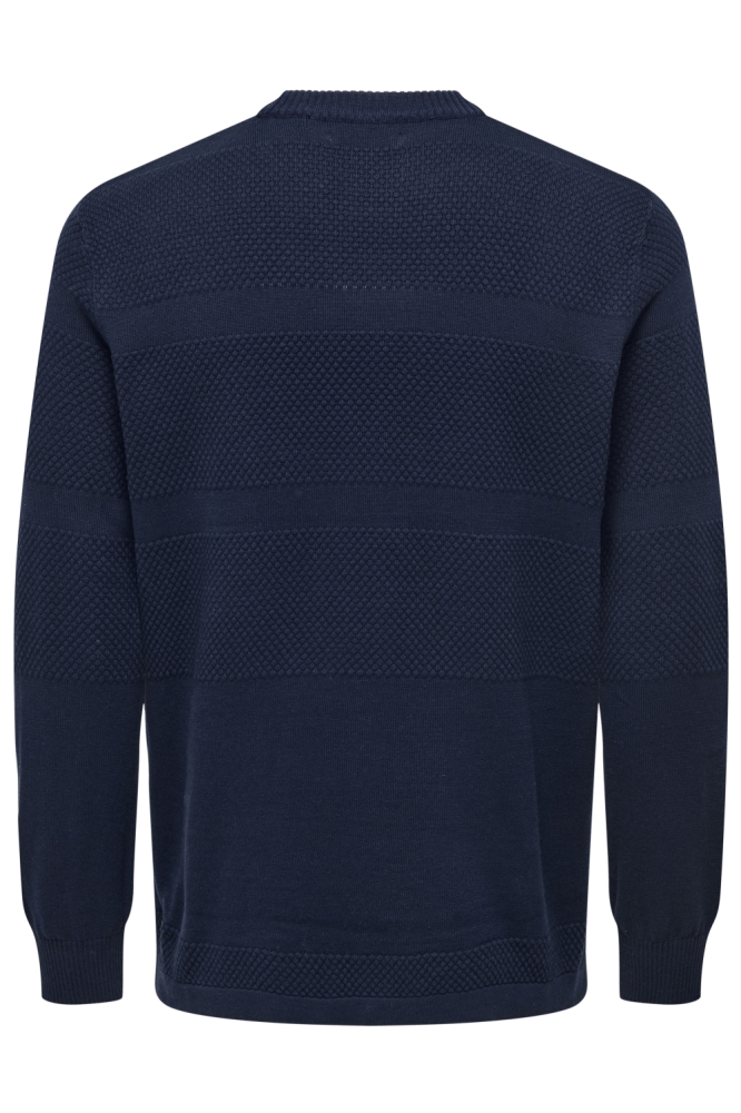 Only & Sons blauwe heren trui | Achteraanzicht