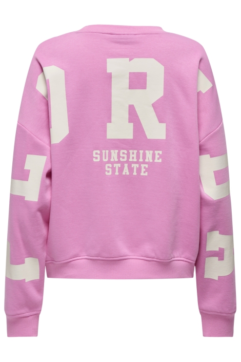 Only roze dames sweater | Achteraanzicht