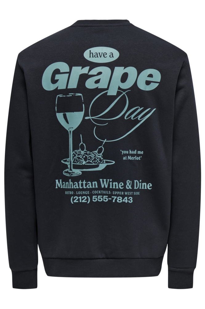 Only & Sons zwarte heren sweater | Achteraanzicht