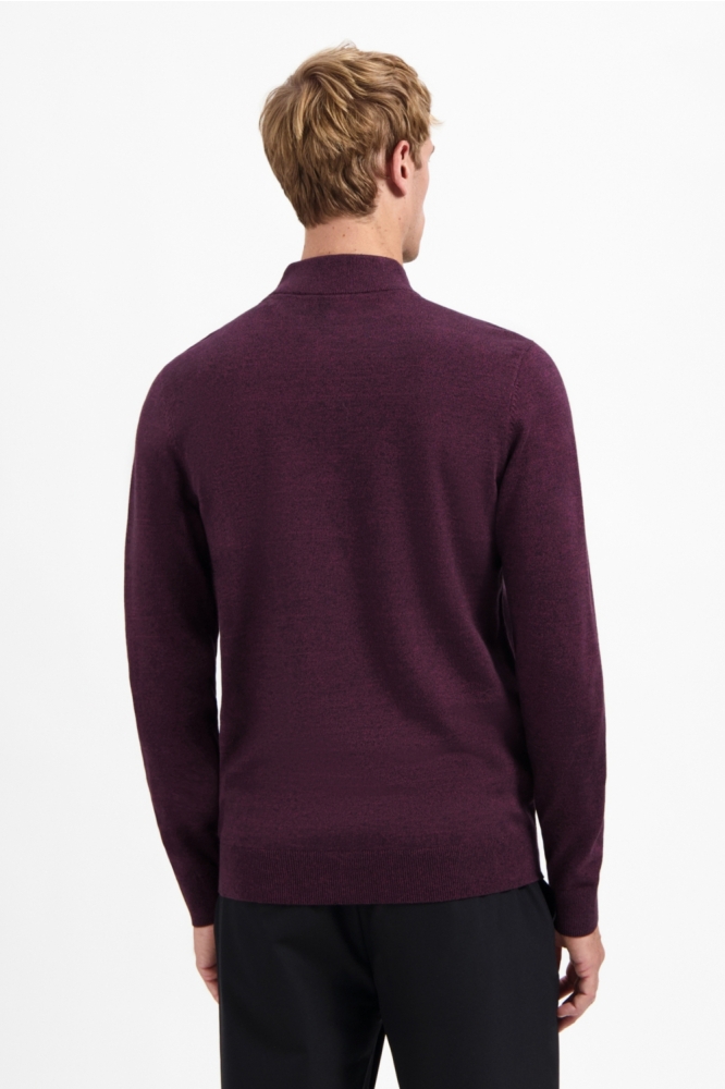 NO-EXCESS paarse heren trui | Model achteraanzicht