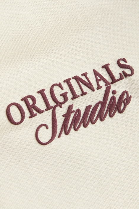 Jack & Jones beige heren sweater | Close up