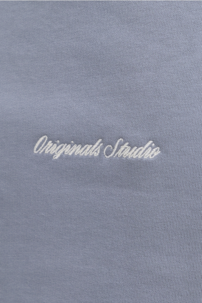 Jack & Jones blauwe heren sweater | Kleurstaal