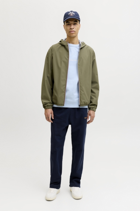 Jack & Jones blauwe heren sweater | Model