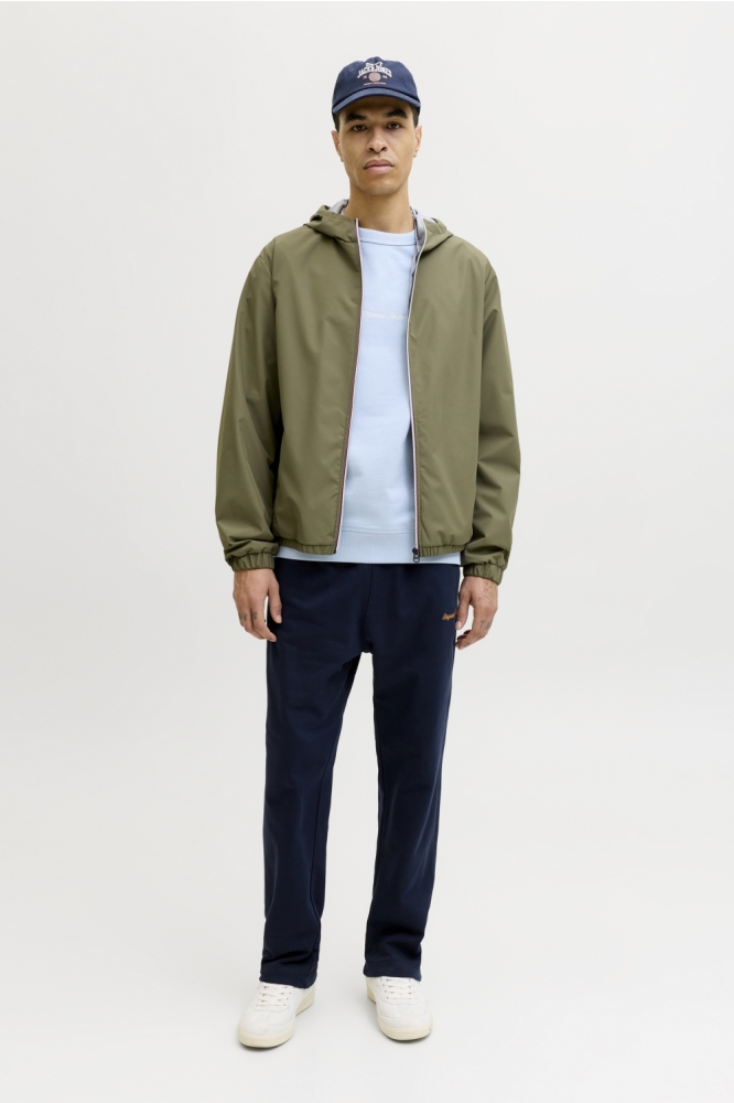 Jack & Jones blauwe heren sweater | Model